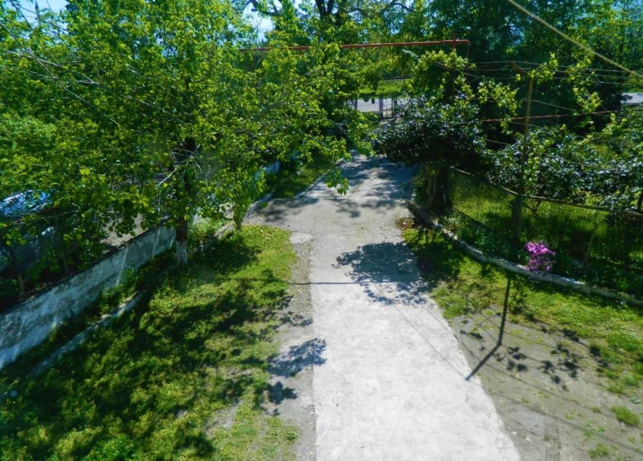 Kobuleti 4-Bedroom Apartment Εξωτερικό φωτογραφία